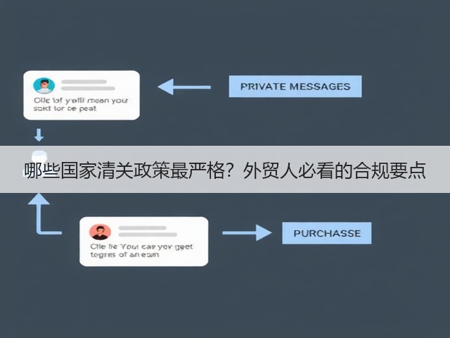 哪些国家清关政策最严格？外贸人必看的合规要点(图2)