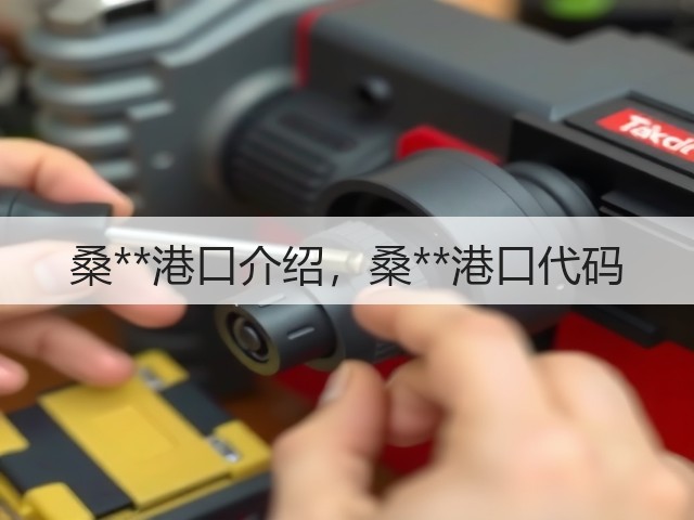 桑**港口介绍,桑**港口代码(图2) 桑**港口介绍,桑**港口代码(图2)