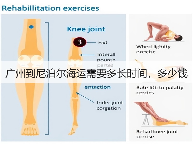 广州到尼泊尔海运需要多长时间,多少钱 广州到尼泊尔海运需要多长时间,多少钱