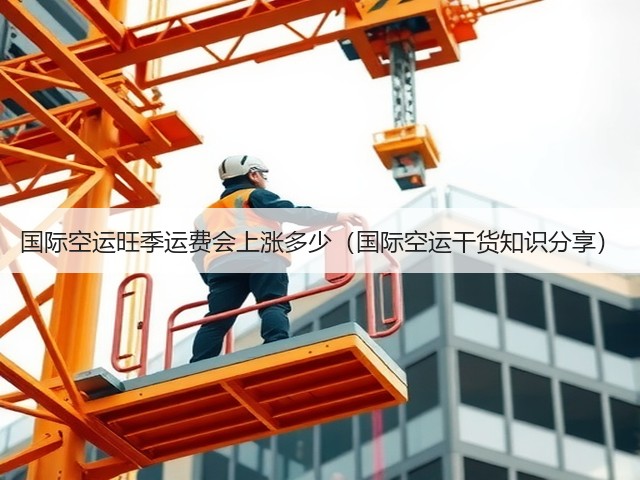 国际空运旺季运费会上涨多少(国际空运干货知识分享)(图2) 国际空运旺季运费会上涨多少(国际空运干货知识分享)(图2)