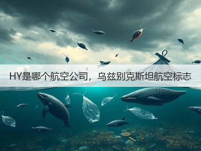 HY是哪个航空公司,乌兹别克斯坦航空标志(图3) HY是哪个航空公司,乌兹别克斯坦航空标志(图3)