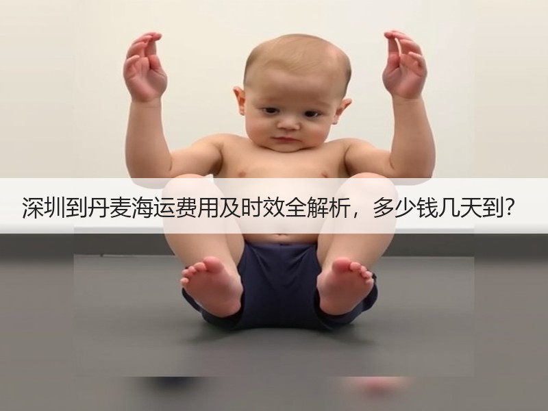 深圳到丹麦海运费用及时效全解析，多少钱几天到？