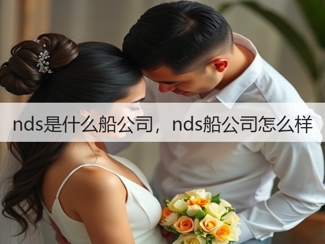 nds是什么船公司,nds船公司怎么样(图2) nds是什么船公司,nds船公司怎么样(图2)