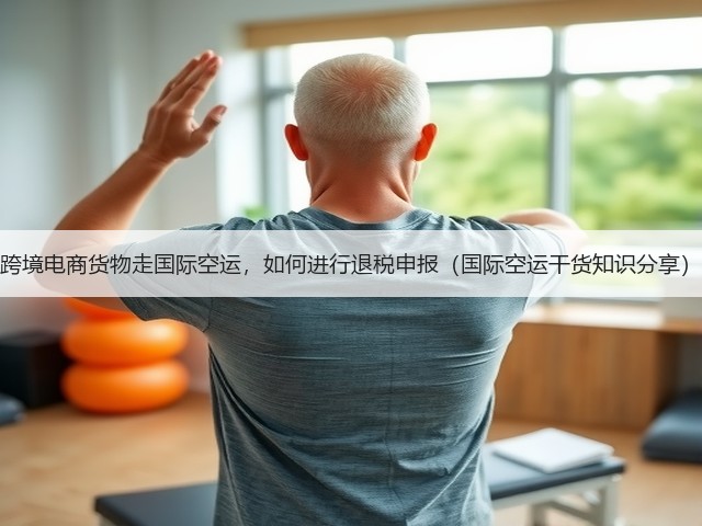 跨境电商货物走国际空运,如何进行退税申报(国际空运干货知识分享)(图3) 跨境电商货物走国际空运,如何进行退税申报(国际空运干货知识分享)(图3)