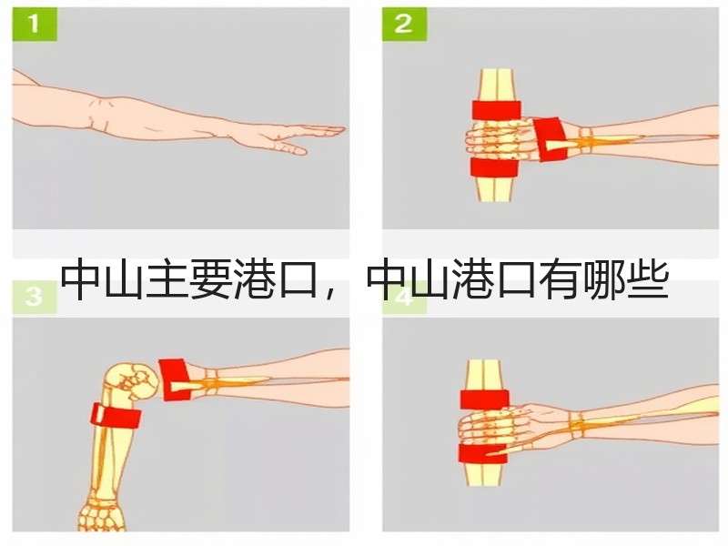 中山主要港口,中山港口有哪些 中山主要港口,中山港口有哪些