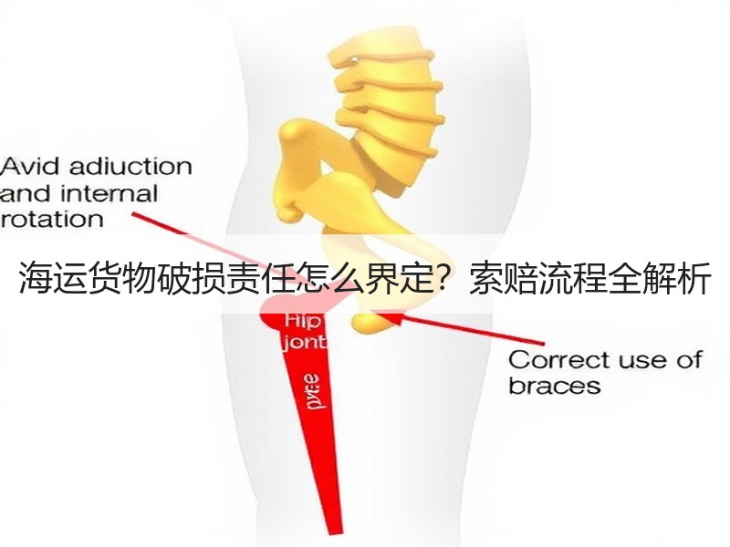 海运货物破损责任怎么界定？索赔流程全解析