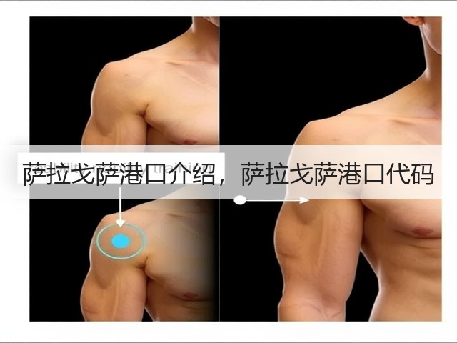 萨拉戈萨港口介绍,萨拉戈萨港口代码(图2) 萨拉戈萨港口介绍,萨拉戈萨港口代码(图2)