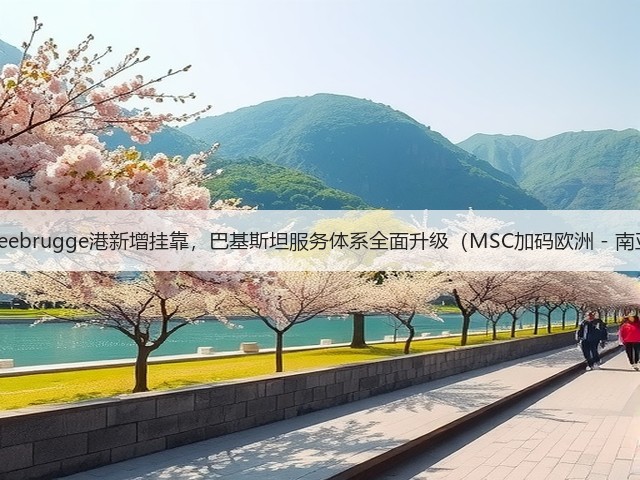 国际海运Zeebrugge港新增挂靠,巴基斯坦服务体系全面升级(MSC加码欧洲 - 南亚航线:)(图2) 国际海运Zeebrugge港新增挂靠,巴基斯坦服务体系全面升级(MSC加码欧洲 - 南亚航线:)(图2)