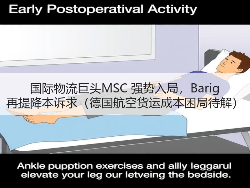 国际物流巨头MSC 强势入局，Barig 再提降本诉求（德国航空货运成本困局待解）