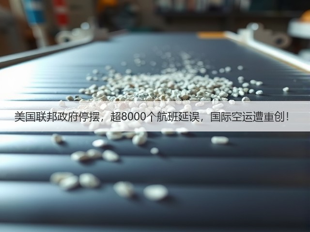 美国联邦政府停摆,超8000个航班延误,国际空运遭重创!(图1) 美国联邦政府停摆,超8000个航班延误,国际空运遭重创!(图1)