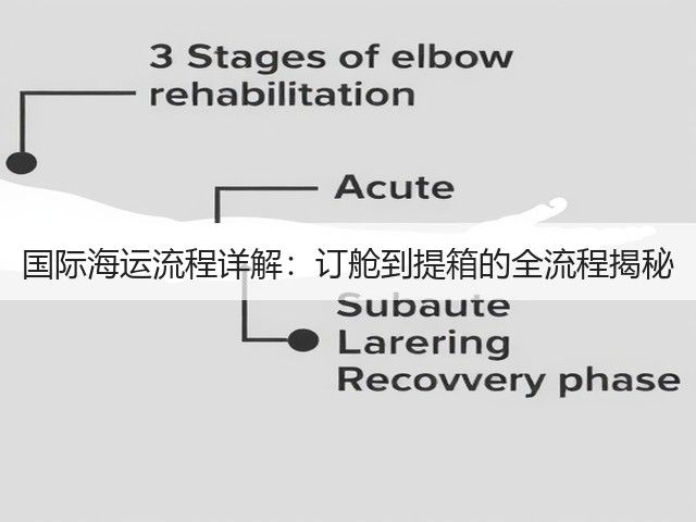 国际海运流程详解：订舱到提箱的全流程揭秘(图2)