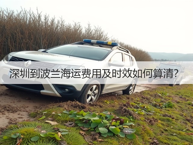 深圳到波兰海运费用及时效如何算清?(图1) 深圳到波兰海运费用及时效如何算清?(图1)