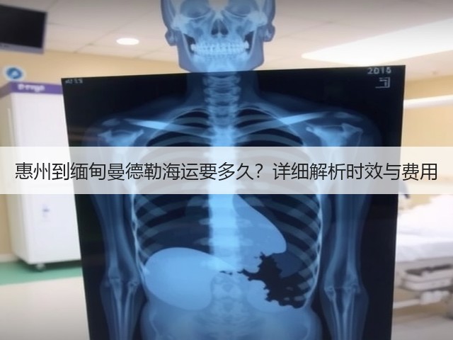 惠州到缅甸曼德勒海运要多久?详细解析时效与费用(图2) 惠州到缅甸曼德勒海运要多久?详细解析时效与费用(图2)