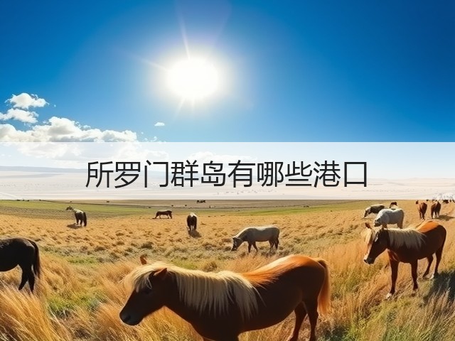 所罗门群岛有哪些港口(图2) 所罗门群岛有哪些港口(图2)