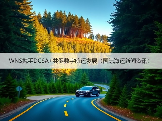 WNS携手DCSA+共促数字航运发展(国际海运新闻资讯)(图2) WNS携手DCSA+共促数字航运发展(国际海运新闻资讯)(图2)