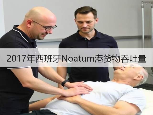2017年西班牙Noatum港货物吞吐量(图2) 2017年西班牙Noatum港货物吞吐量(图2)