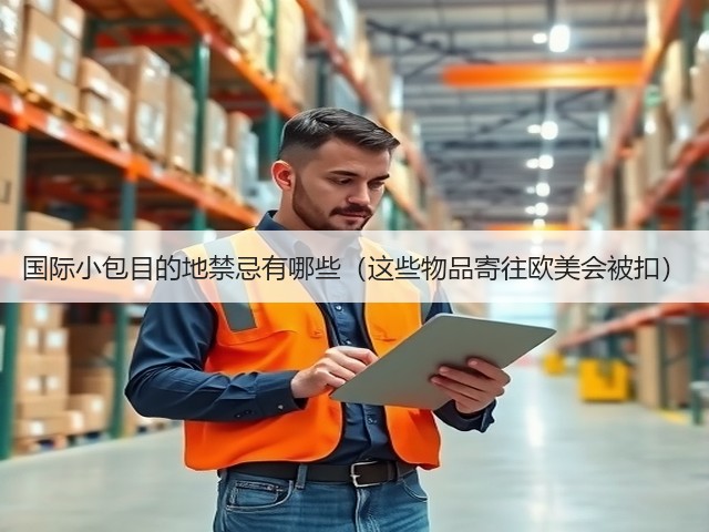 国际小包目的地禁忌有哪些(这些物品寄往欧美会被扣)(图3) 国际小包目的地禁忌有哪些(这些物品寄往欧美会被扣)(图3)