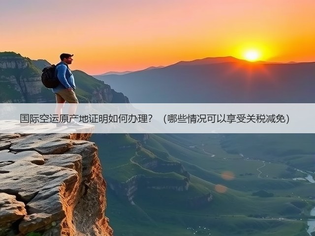 国际空运原产地证明如何办理?(哪些情况可以享受关税减免)(图3) 国际空运原产地证明如何办理?(哪些情况可以享受关税减免)(图3)