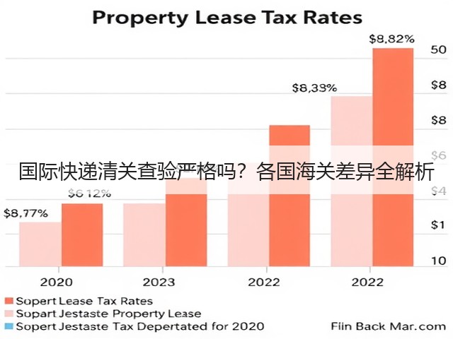 国际快递清关查验严格吗?各国海关差异全解析(图2) 国际快递清关查验严格吗?各国海关差异全解析(图2)