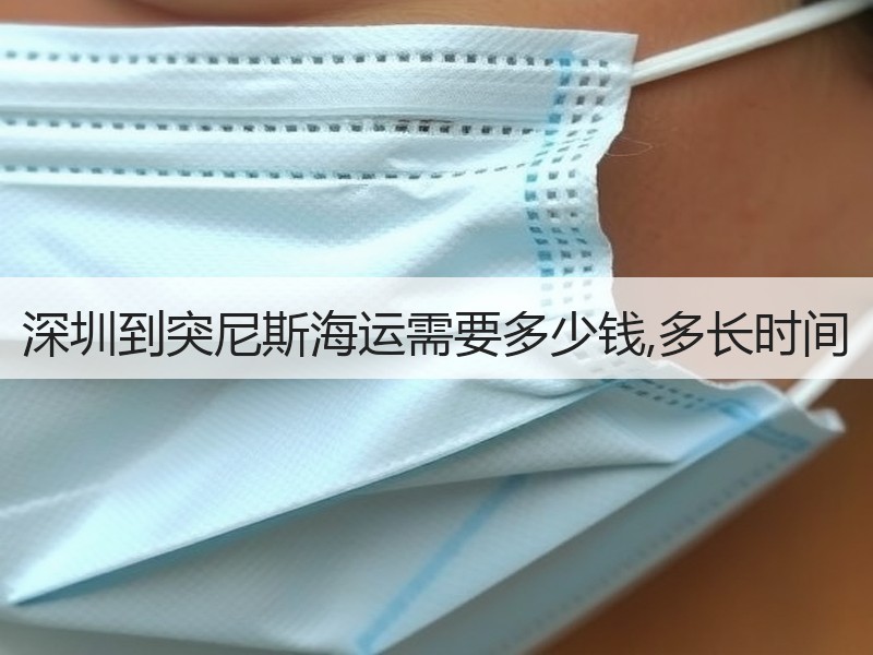 深圳到突尼斯海运需要多少钱,多长时间