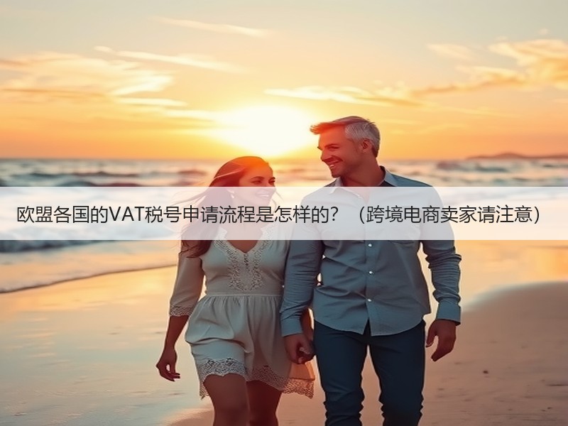 欧盟各国的VAT税号申请流程是怎样的？（跨境电商卖家请注意）