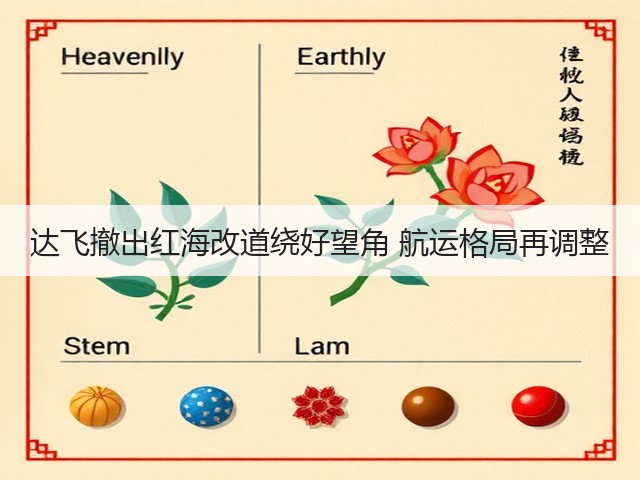 达飞撤出红海改道绕好望角 航运格局再调整(图1) 达飞撤出红海改道绕好望角 航运格局再调整(图1)