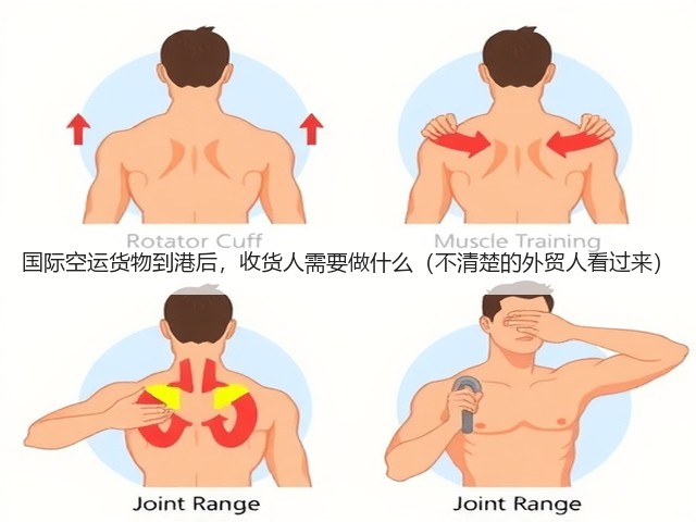 国际空运货物到港后,收货人需要做什么(不清楚的外贸人看过来)(图2) 国际空运货物到港后,收货人需要做什么(不清楚的外贸人看过来)(图2)