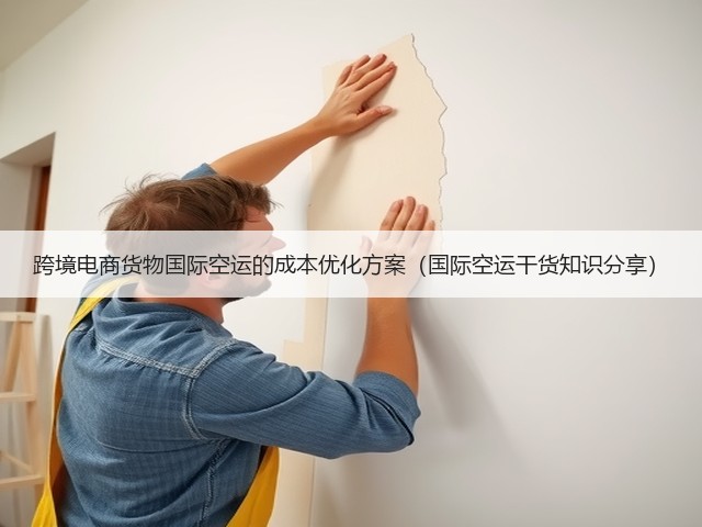 跨境电商货物国际空运的成本优化方案(国际空运干货知识分享)(图3) 跨境电商货物国际空运的成本优化方案(国际空运干货知识分享)(图3)