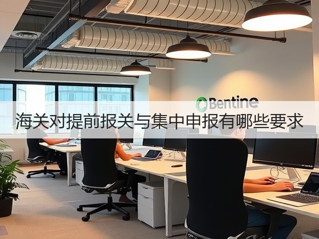 海关对提前报关与集中申报有哪些要求(图2)