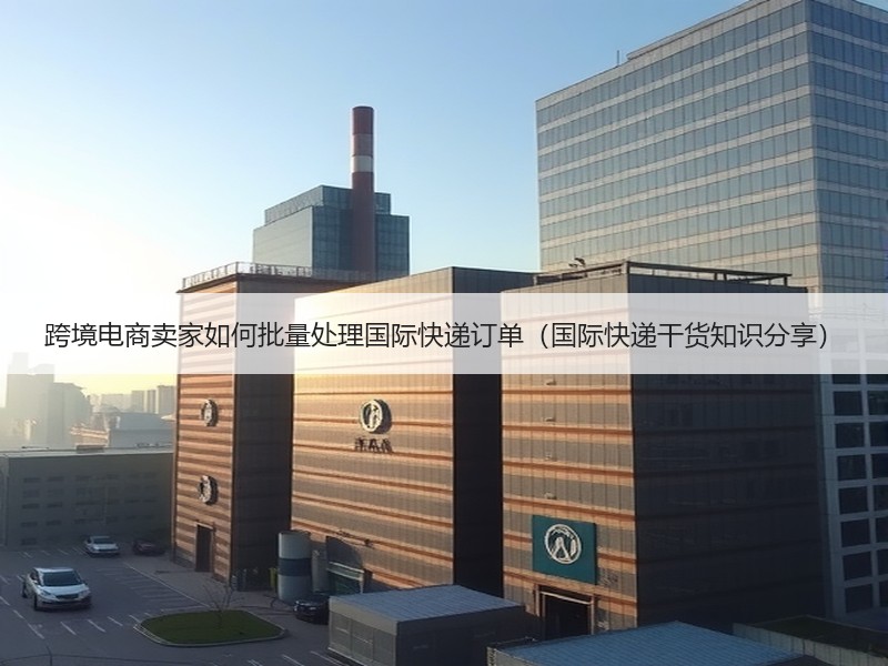 跨境电商卖家如何批量处理国际快递订单（国际快递干货知识分享）