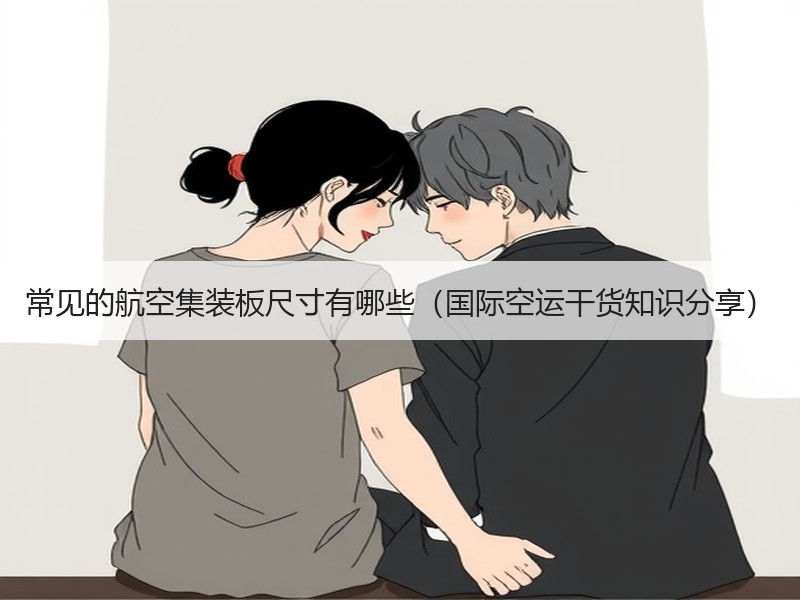 常见的航空集装板尺寸有哪些（国际空运干货知识分享）