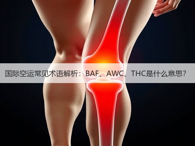 国际空运常见术语解析:BAF、AWC、THC是什么意思?(图1) 国际空运常见术语解析:BAF、AWC、THC是什么意思?(图1)