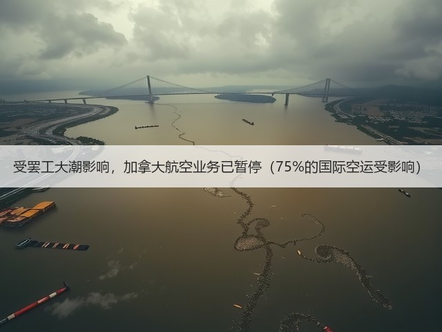 受罢工大潮影响,加拿大航空业务已暂停(75%的国际空运受影响)(图2) 受罢工大潮影响,加拿大航空业务已暂停(75%的国际空运受影响)(图2)