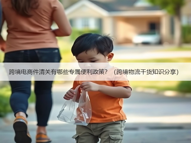 跨境电商件清关有哪些专属便利政策?(跨境物流干货知识分享)(图2) 跨境电商件清关有哪些专属便利政策?(跨境物流干货知识分享)(图2)