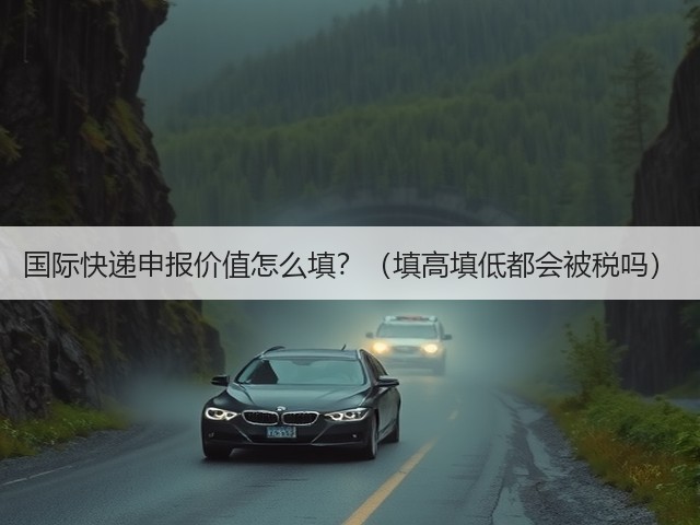 国际快递申报价值怎么填?(填高填低都会被税吗)(图2) 国际快递申报价值怎么填?(填高填低都会被税吗)(图2)