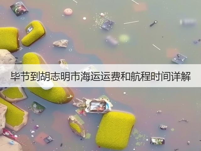 毕节到胡志明市海运运费和航程时间详解(图3)