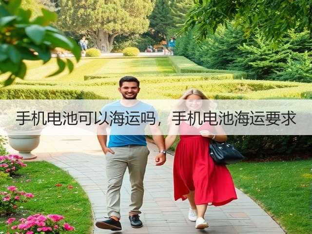 手机电池可以海运吗,手机电池海运要求(图2) 手机电池可以海运吗,手机电池海运要求(图2)