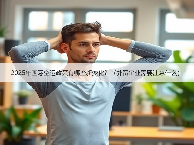 2025年国际空运政策有哪些新变化?(外贸企业需要注意什么)(图3) 2025年国际空运政策有哪些新变化?(外贸企业需要注意什么)(图3)