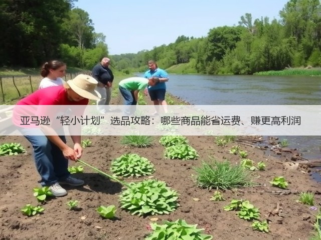 亚马逊“轻小计划”选品攻略:哪些商品能省运费、赚更高利润(图1) 亚马逊“轻小计划”选品攻略:哪些商品能省运费、赚更高利润(图1)