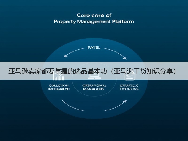 亚马逊卖家都要掌握的选品基本功（亚马逊干货知识分享）