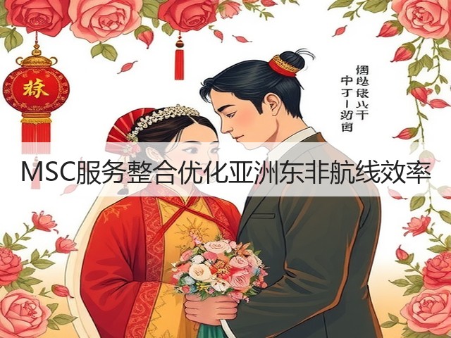 MSC服务整合优化亚洲东非航线效率(图2) MSC服务整合优化亚洲东非航线效率(图2)