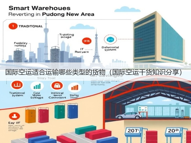 国际空运适合运输哪些类型的货物（国际空运干货知识分享）