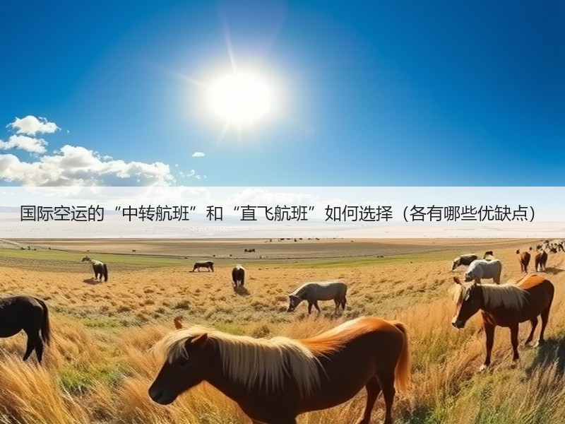 国际空运的“中转航班”和“直飞航班”如何选择（各有哪些优缺点）