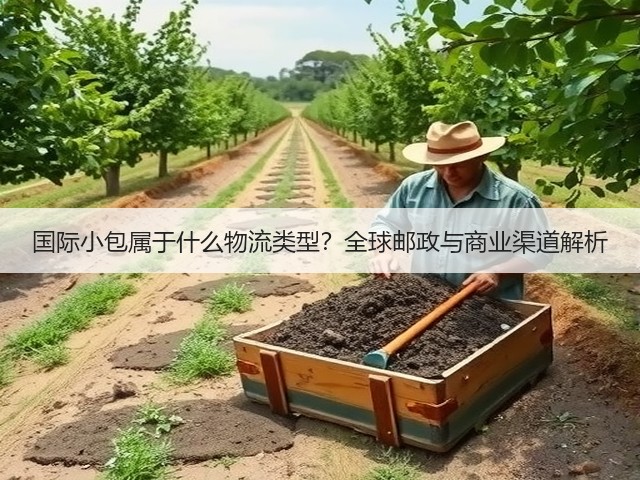 国际小包属于什么物流类型?全球邮政与商业渠道解析(图2) 国际小包属于什么物流类型?全球邮政与商业渠道解析(图2)