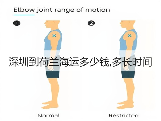 深圳到荷兰海运多少钱,多长时间(图1) 深圳到荷兰海运多少钱,多长时间(图1)