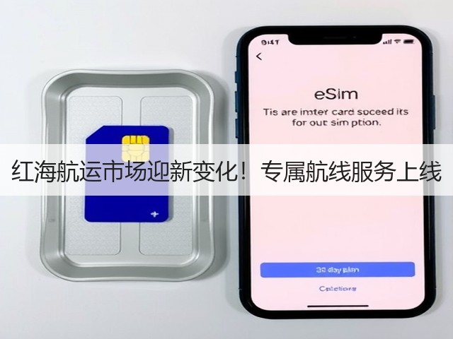 红海航运市场迎新变化！专属航线服务上线(图2)