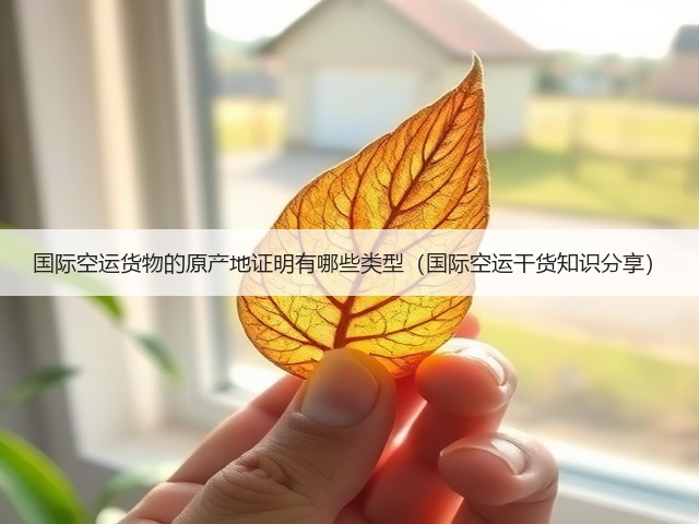国际空运货物的原产地证明有哪些类型(国际空运干货知识分享)(图1) 国际空运货物的原产地证明有哪些类型(国际空运干货知识分享)(图1)
