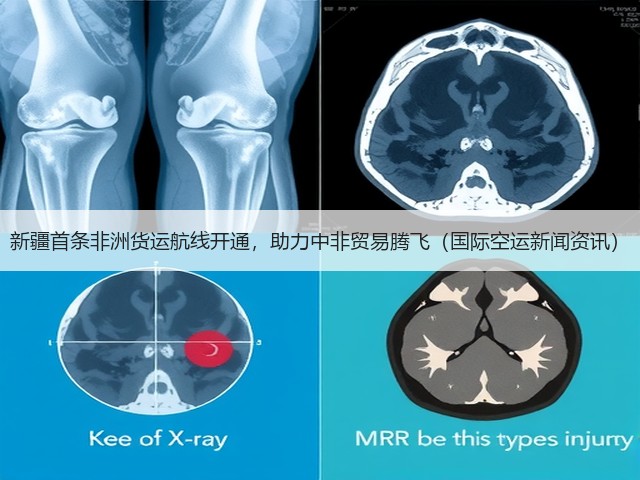 新疆首条非洲货运航线开通,助力中非贸易腾飞(国际空运新闻资讯)(图1) 新疆首条非洲货运航线开通,助力中非贸易腾飞(国际空运新闻资讯)(图1)