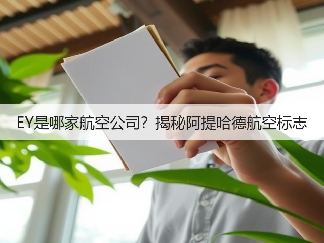 EY是哪家航空公司？揭秘阿提哈德航空标志(图3)