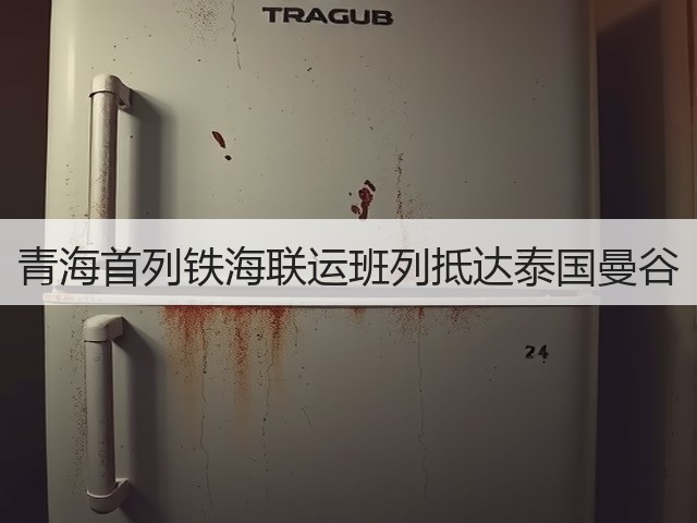 青海首列铁海联运班列抵达泰国曼谷(图2) 青海首列铁海联运班列抵达泰国曼谷(图2)